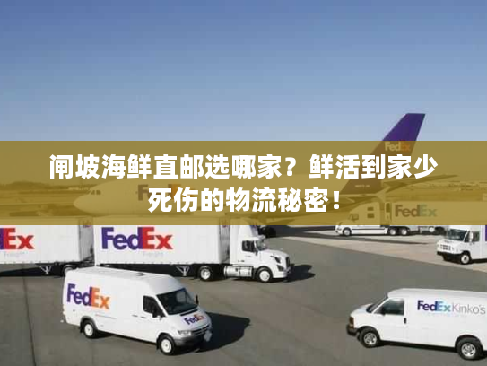 闸坡海鲜直邮选哪家？鲜活到家少死伤的物流秘密！
