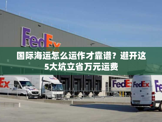 国际海运怎么运作才靠谱？避开这5大坑立省万元运费