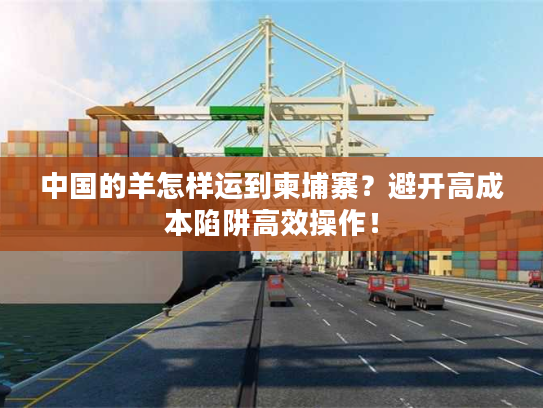 中国的羊怎样运到柬埔寨？避开高成本陷阱高效操作！