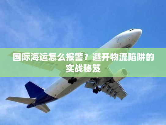 国际海运怎么报警？避开物流陷阱的实战秘笈