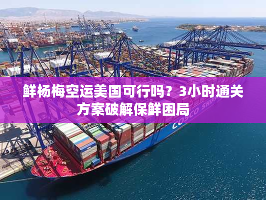 鲜杨梅空运美国可行吗？3小时通关方案破解保鲜困局