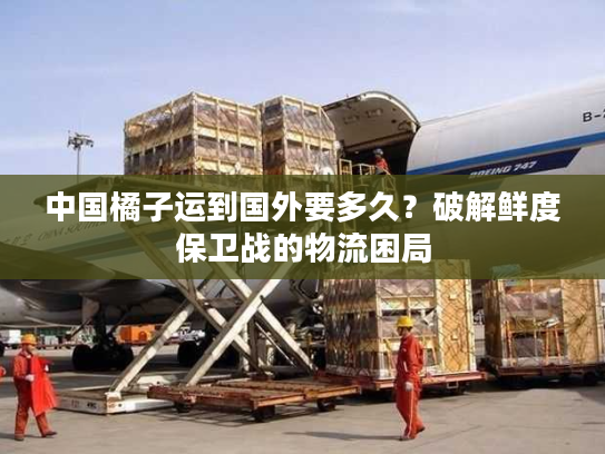 中国橘子运到国外要多久？破解鲜度保卫战的物流困局