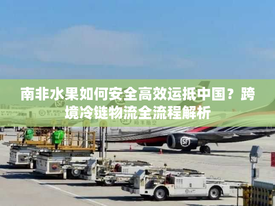 南非水果如何安全高效运抵中国？跨境冷链物流全流程解析