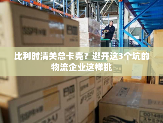 比利时清关总卡壳？避开这3个坑的物流企业这样挑