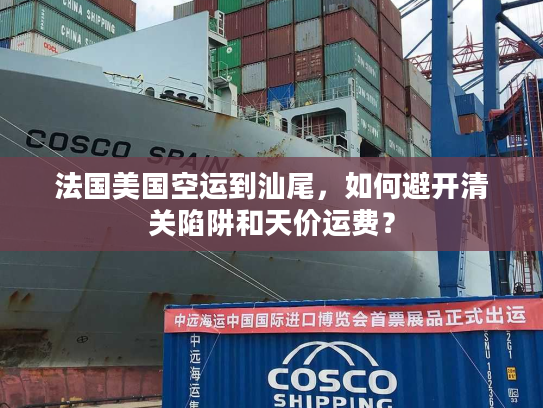 法国美国空运到汕尾，如何避开清关陷阱和天价运费？