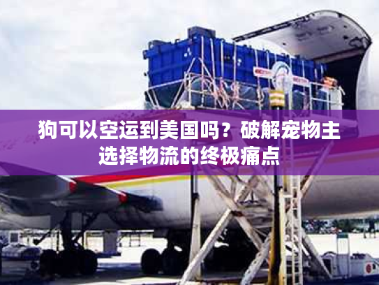 狗可以空运到美国吗？破解宠物主选择物流的终极痛点