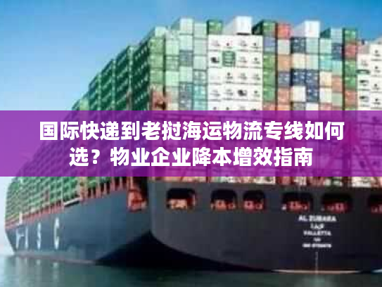 国际快递到老挝海运物流专线如何选？物业企业降本增效指南