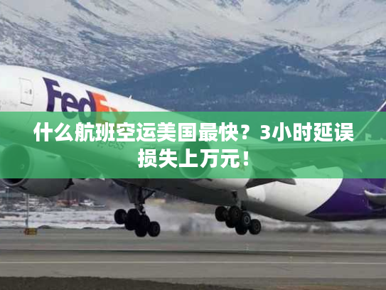 什么航班空运美国最快？3小时延误损失上万元！