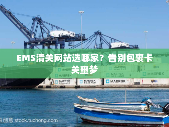 EMS清关网站选哪家？告别包裹卡关噩梦
