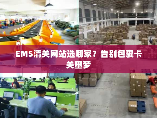 EMS清关网站选哪家？告别包裹卡关噩梦
