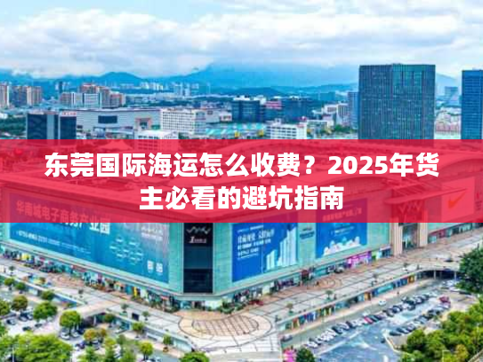 东莞国际海运怎么收费？2025年货主必看的避坑指南