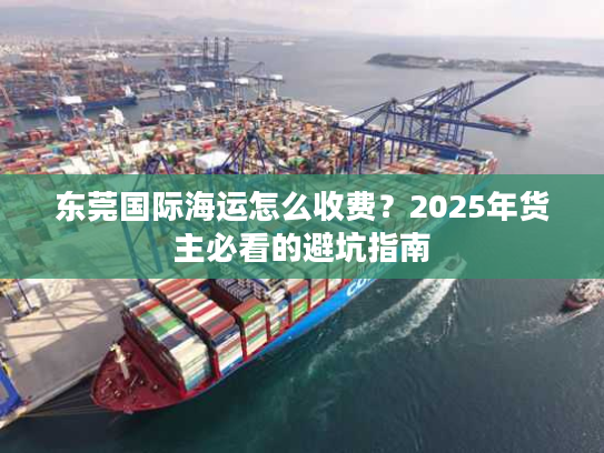 东莞国际海运怎么收费？2025年货主必看的避坑指南