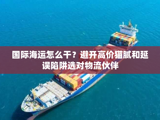 国际海运怎么干？避开高价猫腻和延误陷阱选对物流伙伴