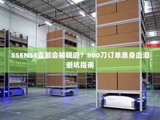 SSENSE直邮会被税吗？800刀订单亲身血泪避坑指南