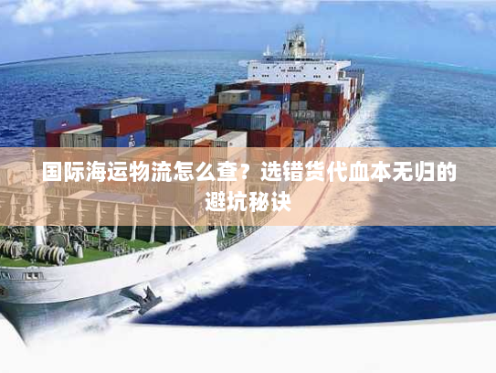 国际海运物流怎么查？选错货代血本无归的避坑秘诀