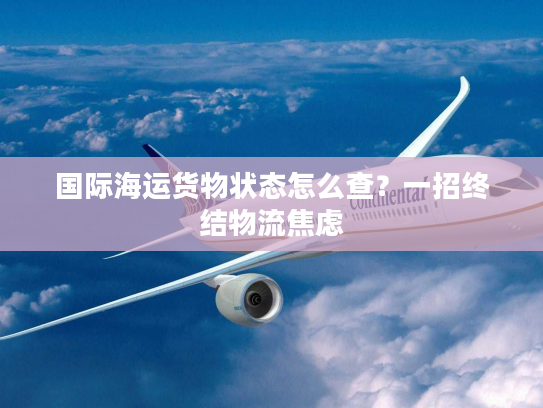 国际海运货物状态怎么查？一招终结物流焦虑