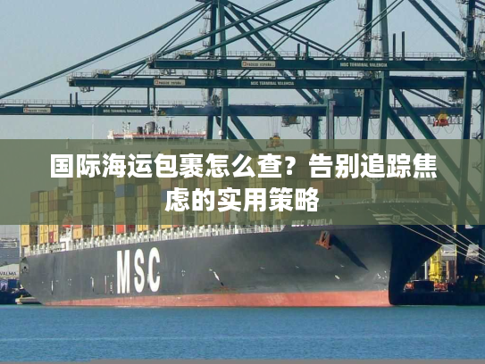 国际海运包裹怎么查？告别追踪焦虑的实用策略