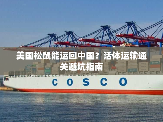 美国松鼠能运回中国？活体运输通关避坑指南