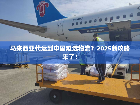 马来西亚代运到中国难选物流？2025新攻略来了！