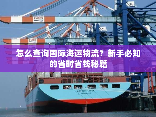 怎么查询国际海运物流？新手必知的省时省钱秘籍