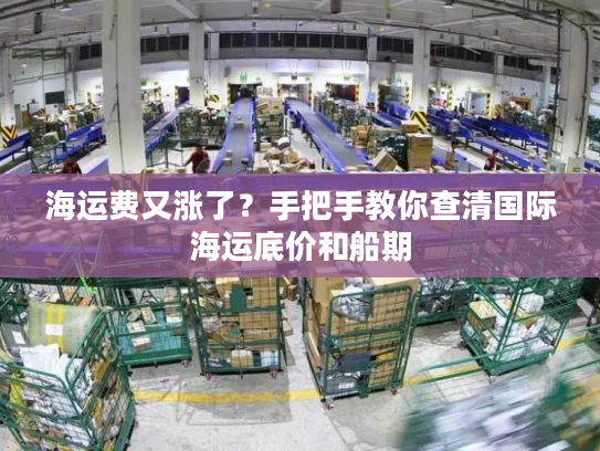 海运费又涨了？手把手教你查清国际海运底价和船期