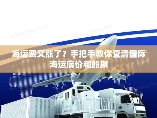 海运费又涨了？手把手教你查清国际海运底价和船期