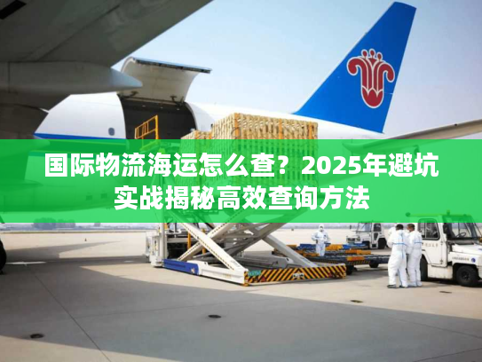国际物流海运怎么查？2025年避坑实战揭秘高效查询方法