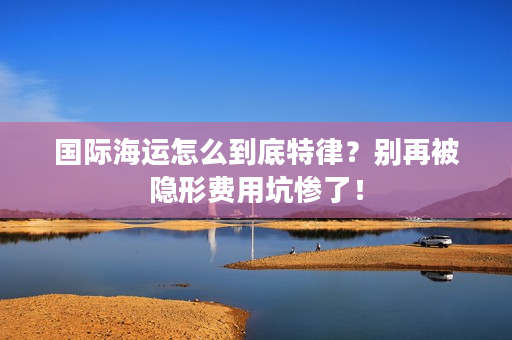 国际海运怎么到底特律？别再被隐形费用坑惨了！
