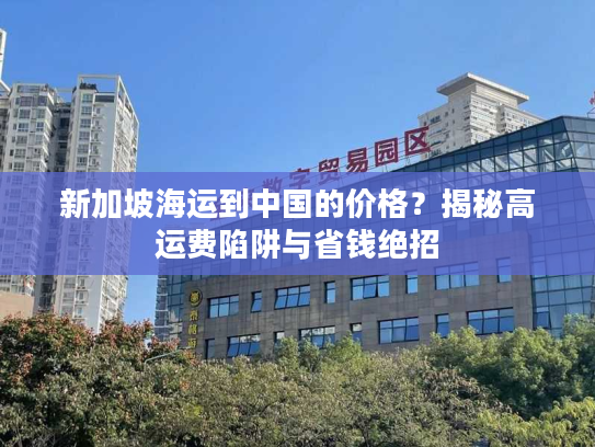 新加坡海运到中国的价格？揭秘高运费陷阱与省钱绝招