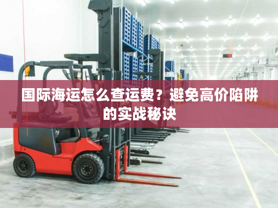 国际海运怎么查运费？避免高价陷阱的实战秘诀