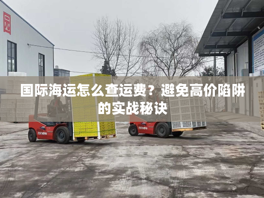 国际海运怎么查运费？避免高价陷阱的实战秘诀