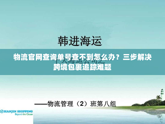 物流官网查询单号查不到怎么办？三步解决跨境包裹追踪难题