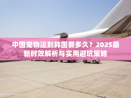 中国宠物运到韩国要多久？2025最新时效解析与实用避坑策略