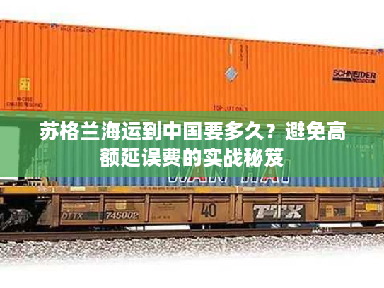 苏格兰海运到中国要多久？避免高额延误费的实战秘笈