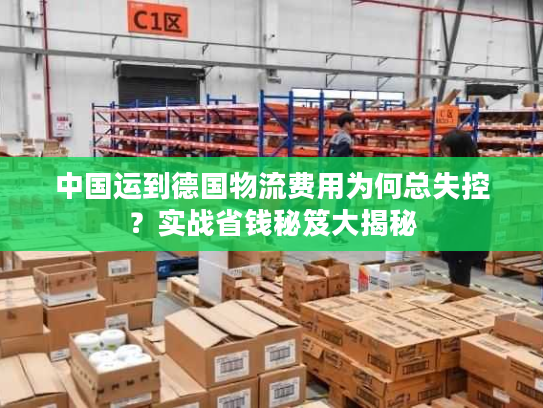 中国运到德国物流费用为何总失控？实战省钱秘笈大揭秘