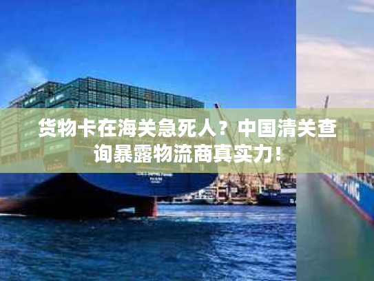货物卡在海关急死人？中国清关查询暴露物流商真实力！