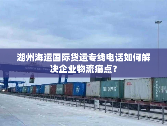 湖州海运国际货运专线电话如何解决企业物流痛点？