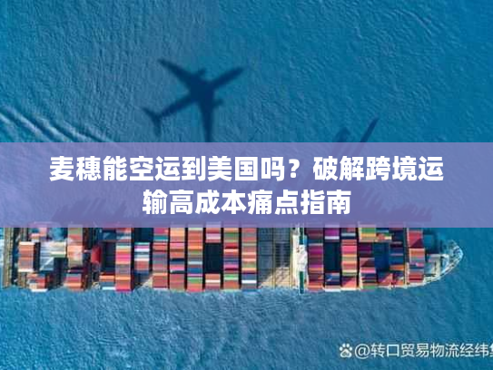 麦穗能空运到美国吗？破解跨境运输高成本痛点指南