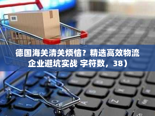 德国海关清关烦恼？精选高效物流企业避坑实战 字符数，38）