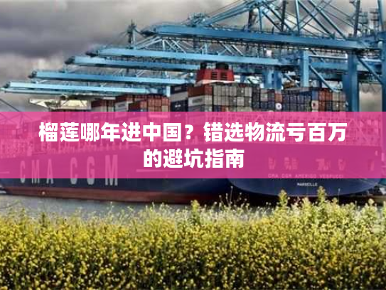 榴莲哪年进中国？错选物流亏百万的避坑指南