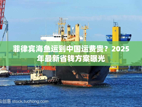 菲律宾海鱼运到中国运费贵？2025年最新省钱方案曝光