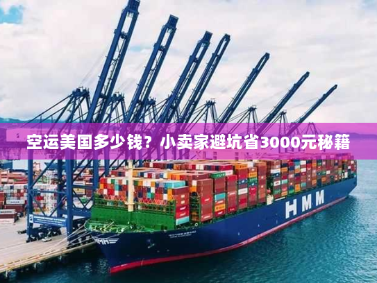 空运美国多少钱？小卖家避坑省3000元秘籍
