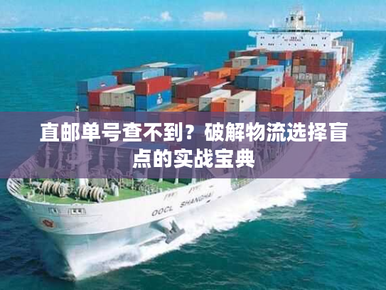 直邮单号查不到？破解物流选择盲点的实战宝典