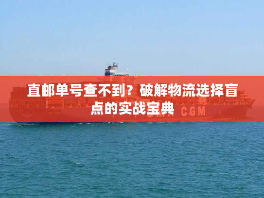 直邮单号查不到？破解物流选择盲点的实战宝典