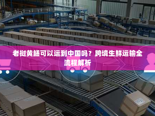 老挝黄鳝可以运到中国吗？跨境生鲜运输全流程解析