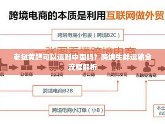 老挝黄鳝可以运到中国吗？跨境生鲜运输全流程解析