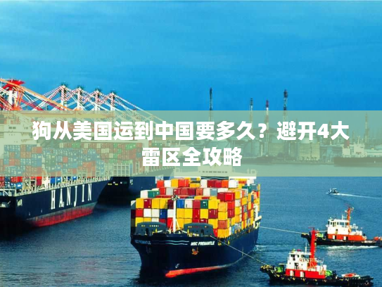 狗从美国运到中国要多久？避开4大雷区全攻略