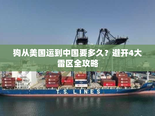 狗从美国运到中国要多久？避开4大雷区全攻略