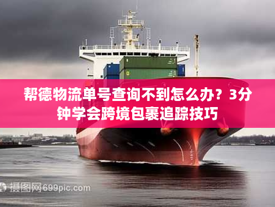 帮德物流单号查询不到怎么办？3分钟学会跨境包裹追踪技巧