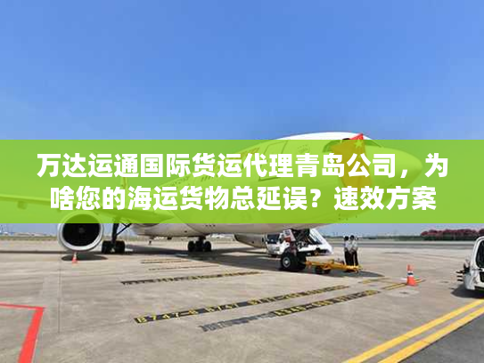 万达运通国际货运代理青岛公司，为啥您的海运货物总延误？速效方案揭秘
